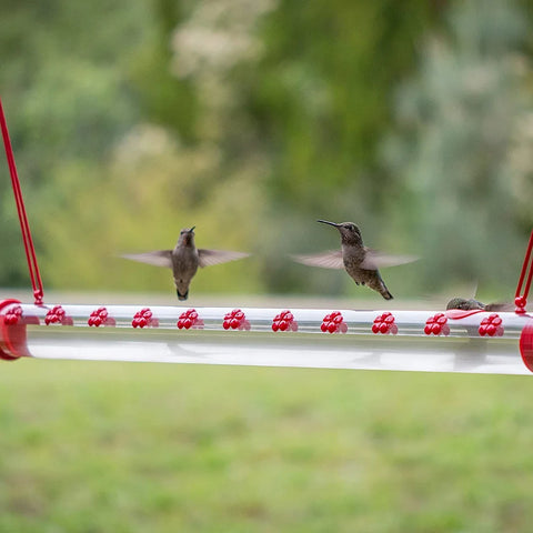 💥50% OFF💥Hanging long tube bird feeder