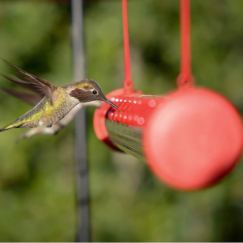 💥50% OFF💥Hanging long tube bird feeder