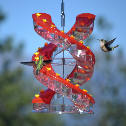 🔥Newest Helix 32 mouth hummingbird feeder/step bird feeder