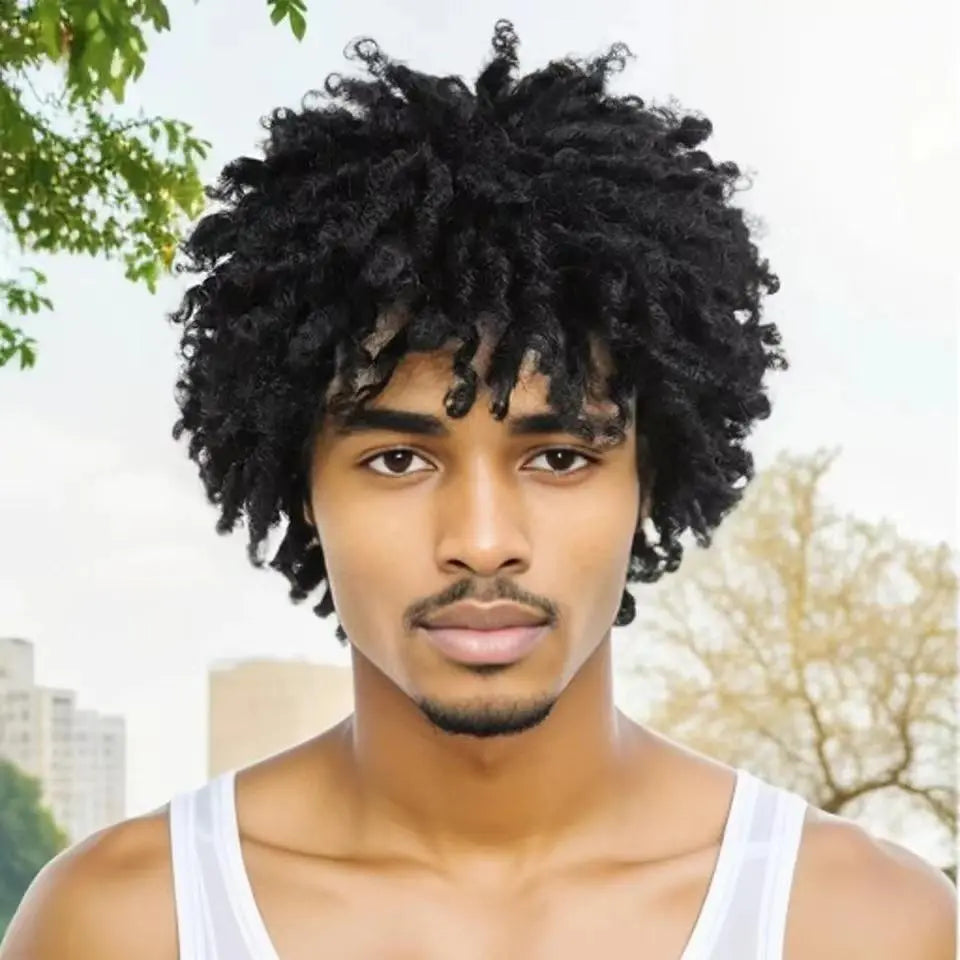 Men Wig Dreadlock Wig Short Afro Twist Braided Wig Glueless Synthetic Curly Dreads Wig Coily Textured Wigs Convenient Wigs